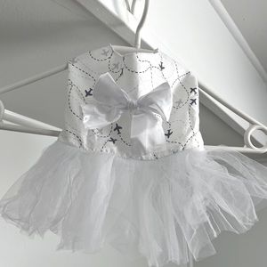 New dress to bring for my dog